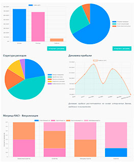 Экономика - Матрица RACI и финансовый отчет - подробный расчет